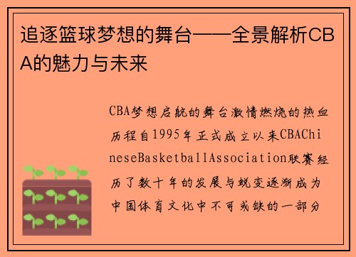 追逐篮球梦想的舞台——全景解析CBA的魅力与未来